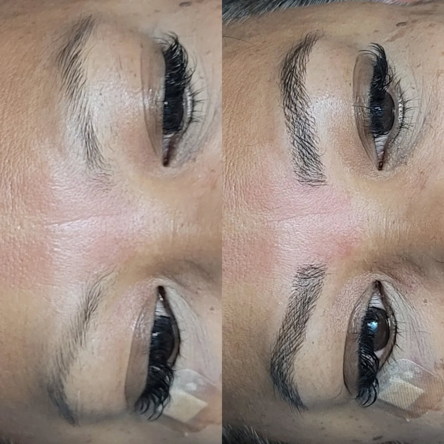 Brows gallery image